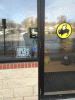 post-13026-0-50403100-1393385621_thumb.gif