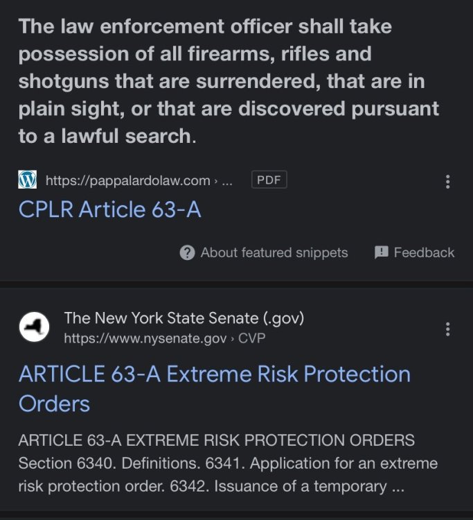 New York Judge Declares Red Flag law unconstitutional Judicial Second Amendment Case