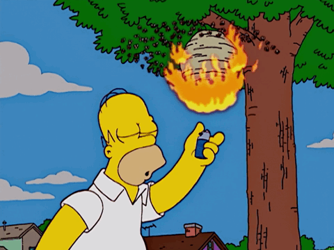 EB038833-7431-442E-B028-263C0B5BDFB1.gif.e9fee354e132a14fb492927f8e565bd8.gif