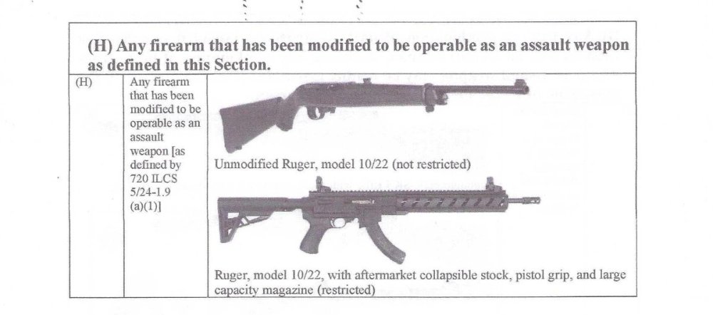 Ruger10-22.thumb.jpg.2a894b4df3bfcd45b6213956c6b00541.jpg